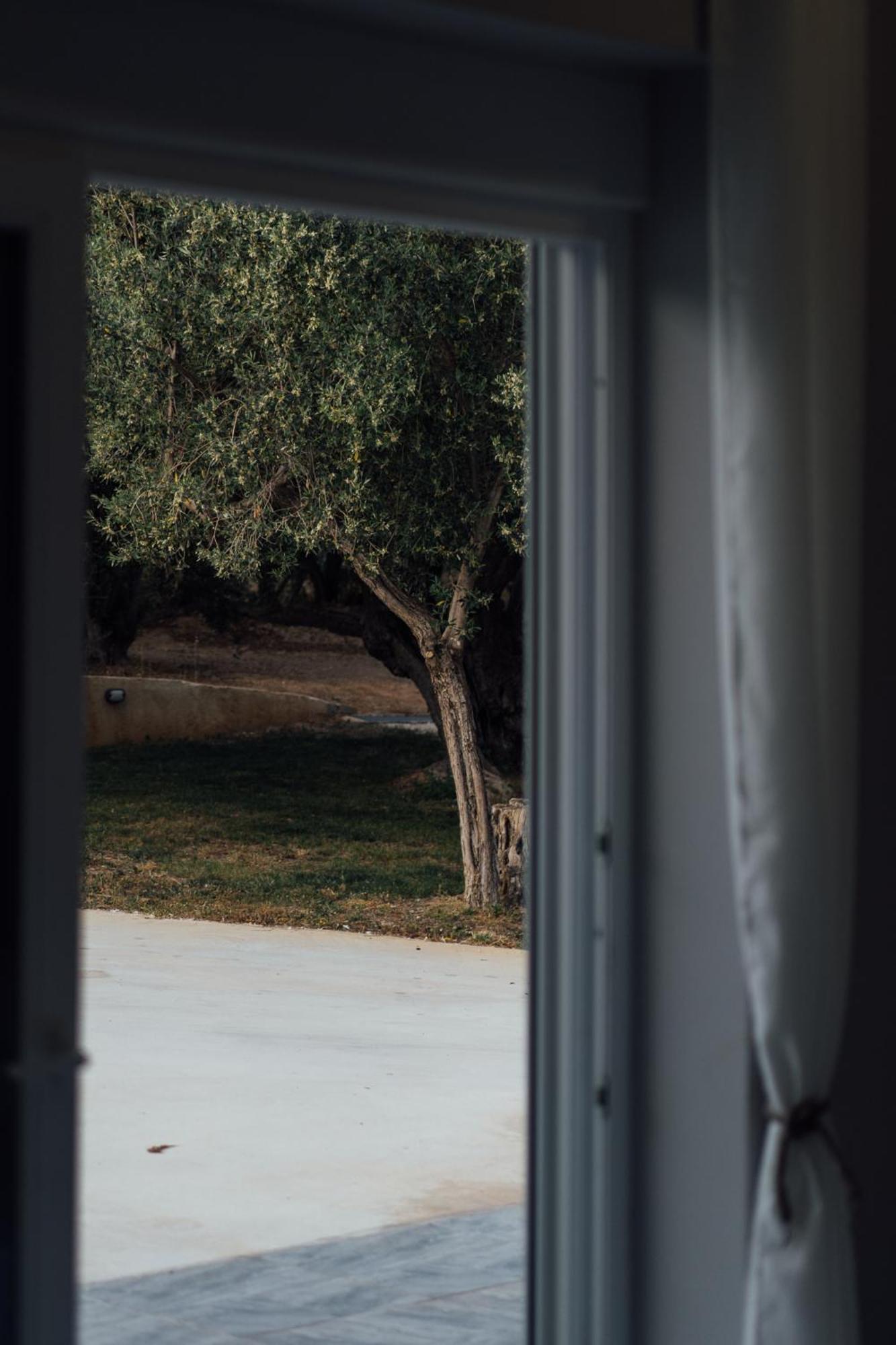 Blue Waves Luxury Suites By The Sea Plomari Exteriér fotografie