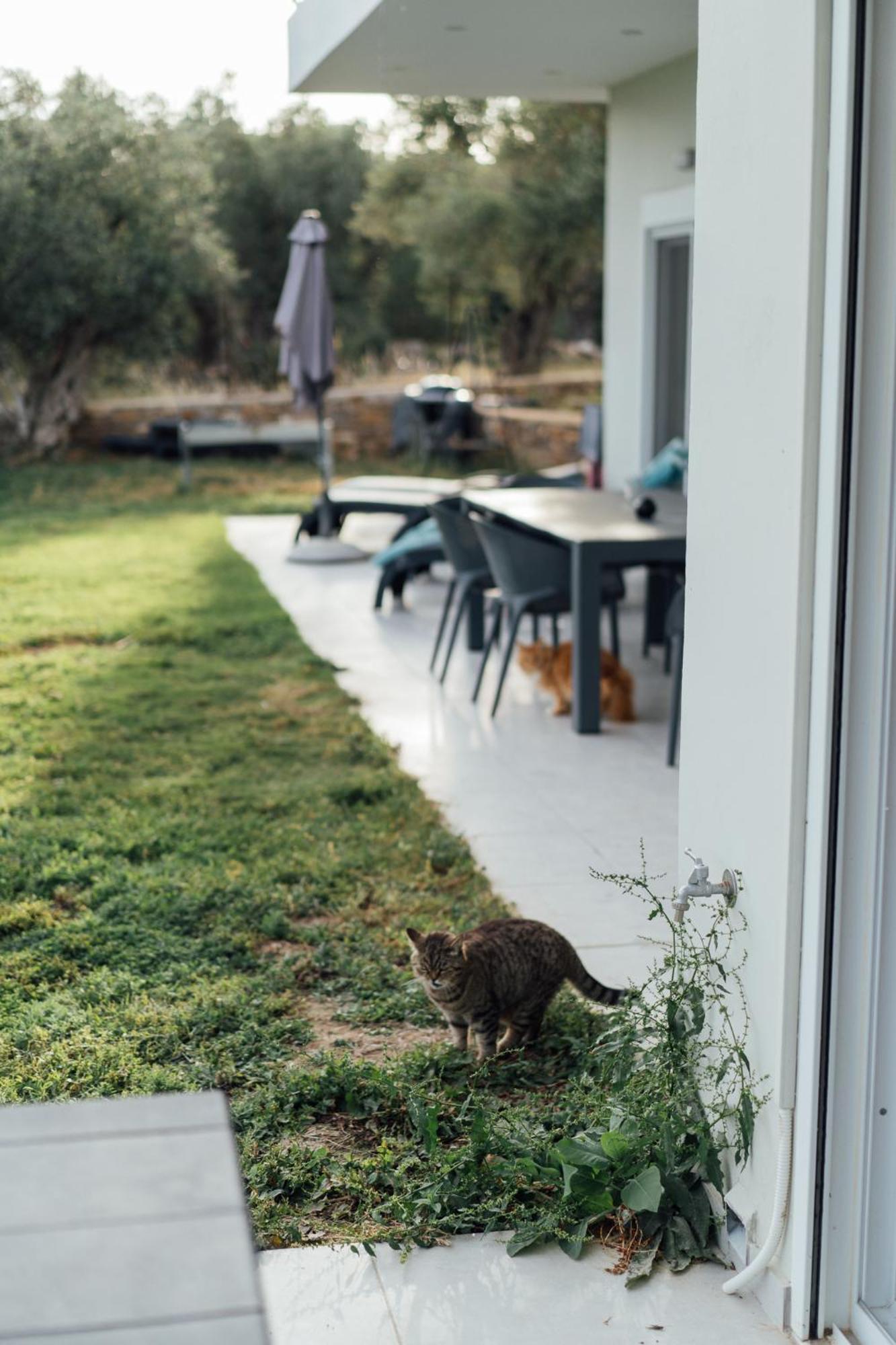 Blue Waves Luxury Suites By The Sea Plomari Exteriér fotografie